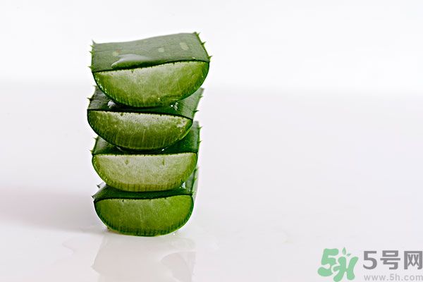 蘆薈是發(fā)物嗎？蘆薈是不是發(fā)物？