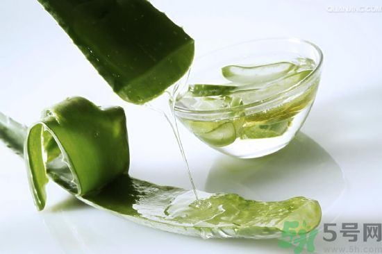 蘆薈的皮可以吃嗎？吃蘆薈要不要削皮？
