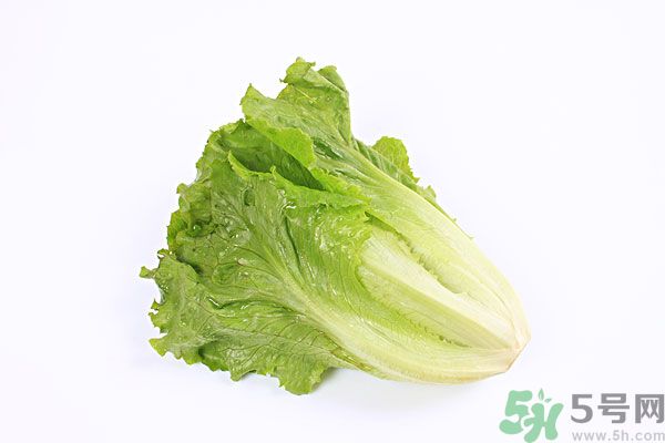 小孩可以吃生菜嗎？小孩吃生菜好嗎？