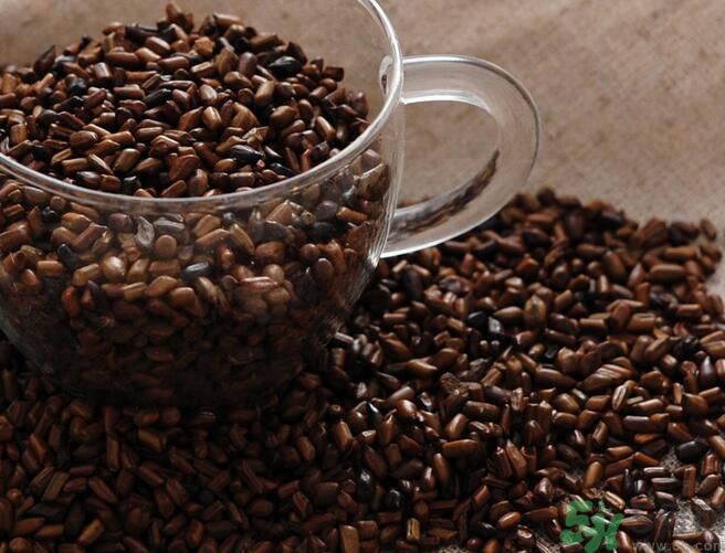 決明子泡茶喝可以減肥嗎？決明子泡茶喝有減肥效果嗎？
