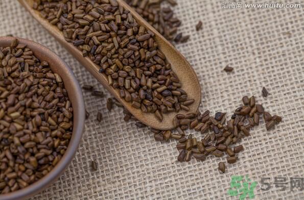 孕婦可以喝決明子茶通便嗎？孕婦通便可以喝決明子茶嗎？