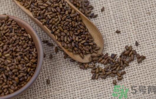 決明子泡茶加什么好？決明子和什么一起泡好？