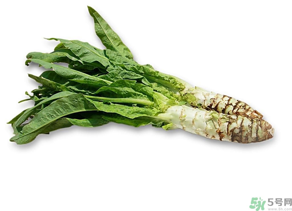 新鮮的萵筍怎么保存？削皮的萵筍怎么保存？
