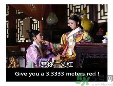 什么是蜀葵？蜀葵是一丈紅嗎？