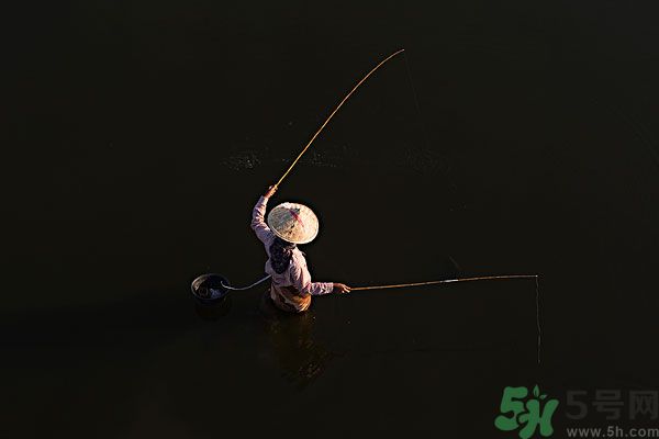雷陣雨可以釣魚嗎？雷陣雨天氣適合釣魚嗎？