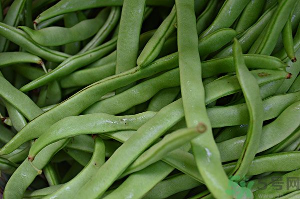 四季豆沒炒熟有毒嗎？四季豆沒熟吃了會(huì)怎樣？