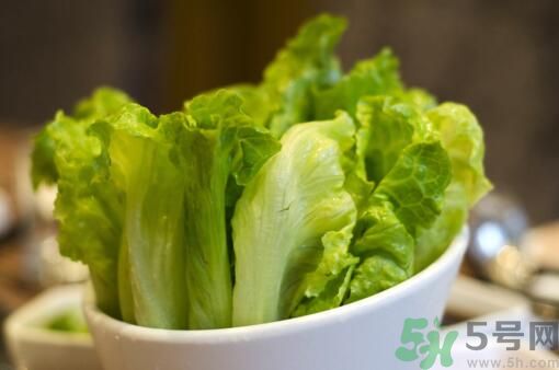 生菜會(huì)引起過敏嗎？吃生菜會(huì)過敏嗎？