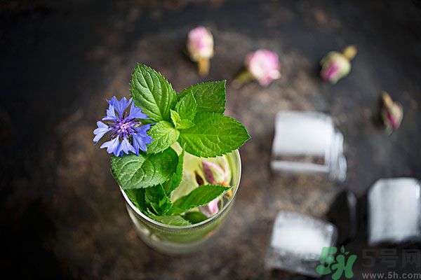 薄荷曬干泡茶有什么好處？薄荷曬干泡水的功效