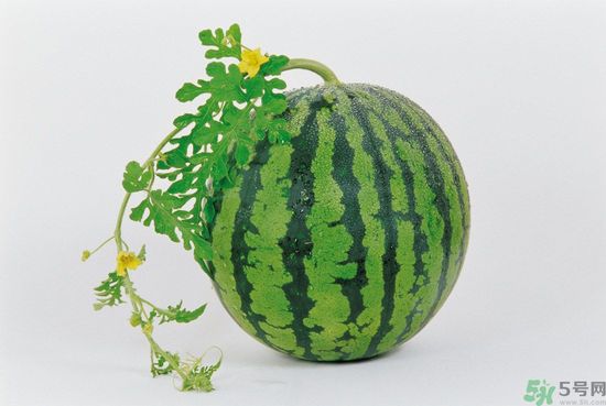 西瓜怎么挑熟的甜的？西瓜的儲存方法？