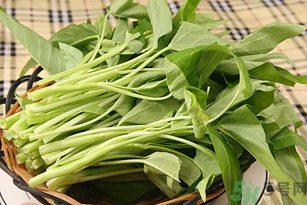 空心菜是菠菜嗎？空心菜是不是菠菜？