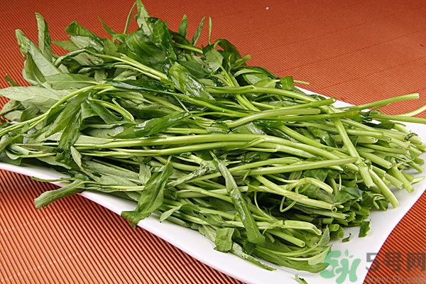 空心菜是菠菜嗎？空心菜是不是菠菜？