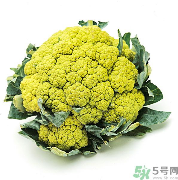 玉川和斯利安哪個好？葉酸片什么牌子最好？
