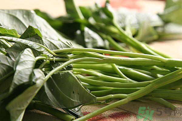 空心菜是菠菜嗎？空心菜是不是菠菜？