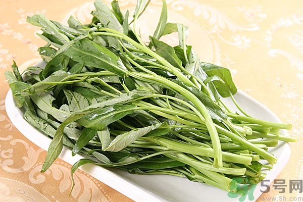 空心菜是菠菜嗎？空心菜是不是菠菜？