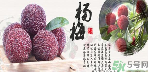 吃楊梅可以防止中暑嗎？中暑可以吃楊梅嗎？