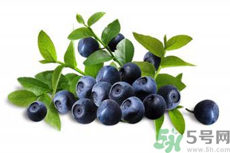 藍(lán)莓是不是發(fā)物？藍(lán)莓是發(fā)物嗎？