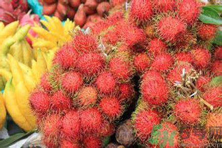 寶寶可以吃紅毛丹嗎？寶寶多大了可以吃紅毛丹？