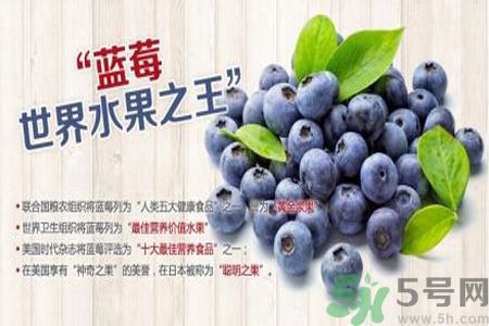 衣服上面染上了藍莓汁怎么辦？藍莓漬怎么清洗？