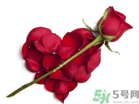 父親節(jié)送什么花好？父親節(jié)送什么花？