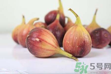 胃不好可以吃無花果嗎？胃不好吃無花果好嗎？