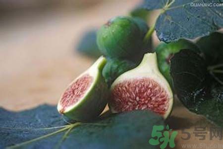 無花果沒熟可以吃嗎？吃了沒熟的無花果會怎樣？