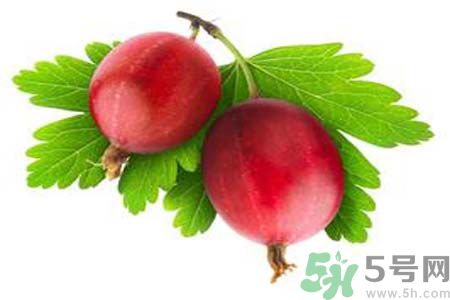 無(wú)花果酒有什么功效？無(wú)花果酒的做法