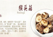 哺乳期可以吃猴頭菇嗎？產(chǎn)婦可以吃猴頭菇嗎？