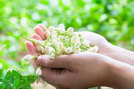 茉莉花茶可以和玫瑰花茶一起喝嗎？茉莉花茶和玫瑰花茶一起泡著喝好嗎？
