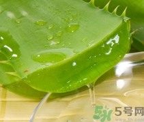 如何在家自制補水面膜？自制的面膜好用嗎？