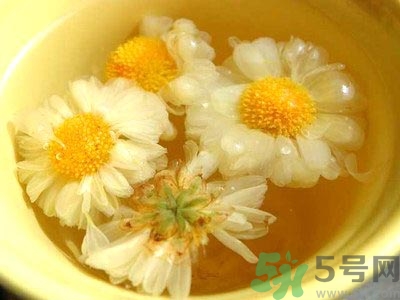 女生可以喝什么茶排毒養(yǎng)顏？女生喝什么茶可以美容？