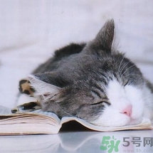 如何控油？如何控油祛痘？