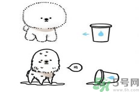 虛胖是什么意思？虛胖是胖嗎？