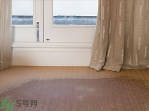 房間潮濕怎么辦？房間潮濕如何解決？