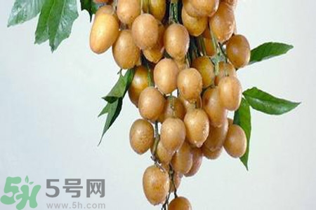 黃皮果是酸性還是堿性？黃皮果是堿性嗎？