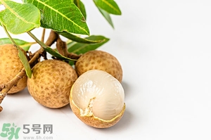 桂圓可以泡酒嗎？桂圓的功效與作用
