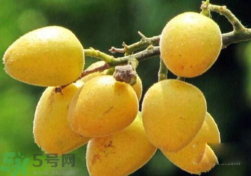 黃皮果的皮可以吃嗎？黃皮果的皮有什么作用