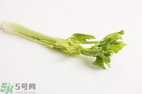 芹菜對精子有害嗎？芹菜對精子質(zhì)量有什么影響？