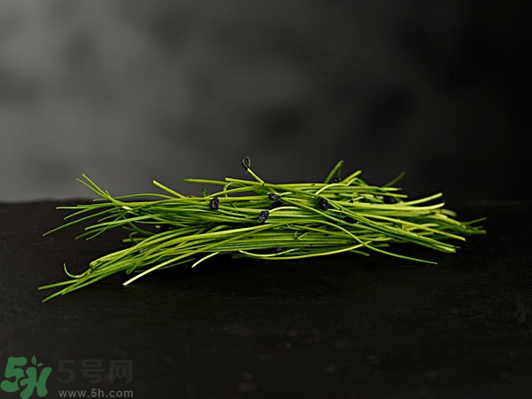 吃韭菜會(huì)燒心嗎？吃韭菜燒心怎么辦？