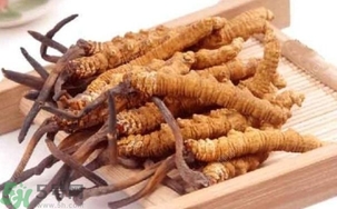 冬蟲(chóng)夏草是怎么形成的？冬蟲(chóng)夏草是蟲(chóng)子嗎？