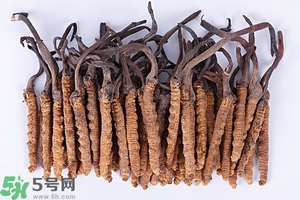 冬蟲(chóng)夏草是怎么形成的？冬蟲(chóng)夏草是蟲(chóng)子嗎？
