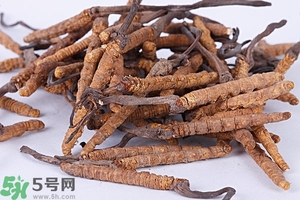 冬蟲(chóng)夏草是怎么形成的？冬蟲(chóng)夏草是蟲(chóng)子嗎？
