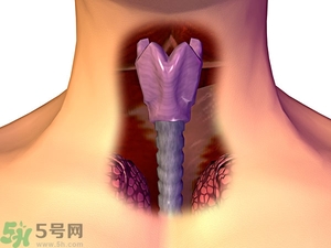 ?皰疹性咽峽炎有什么癥狀？寶寶?皰疹性咽峽炎癥狀