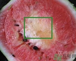 如何辨別催熟的西瓜？催熟的西瓜是什么樣的？