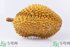 榴蓮能放冰箱嗎？榴蓮放在冰箱能保存幾天？