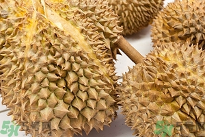 榴蓮能放冰箱嗎？榴蓮放在冰箱能保存幾天？