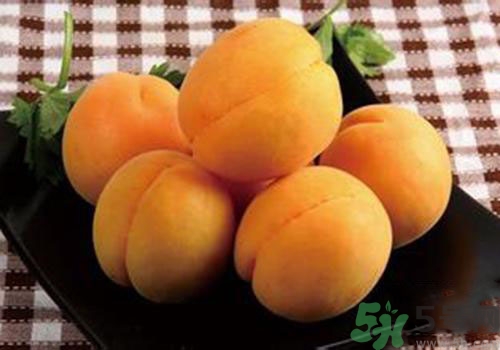 杏子是熱性還是涼性？杏子是涼性的嗎？