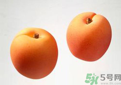 杏子是酸性還是堿性？杏子是酸性的嗎？