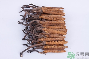冬蟲夏草真假怎么鑒別？冬蟲夏草怎么吃效果最好？