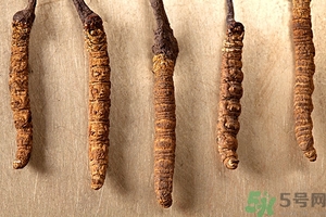 冬蟲夏草真假怎么鑒別？冬蟲夏草怎么吃效果最好？