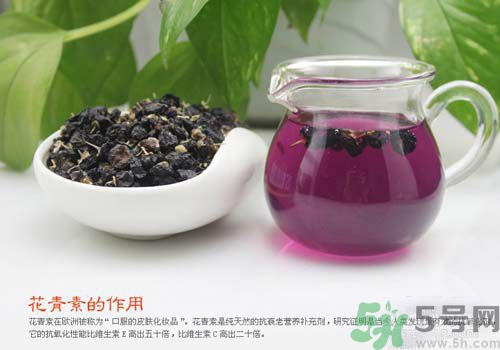 黑枸杞泡水是什么顏色？黑枸杞泡水是紫色的嗎？